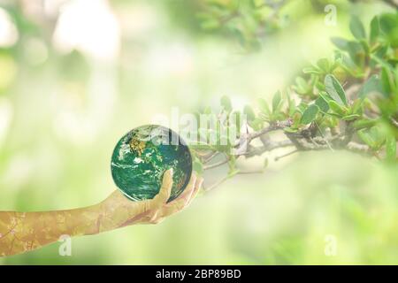 Concept de la Journée mondiale de l'environnement; Globe en main sur fond de forêt verte. Plantation d'arbres et terre verte sur les mains de bénévolat. Élément de l'image f Banque D'Images