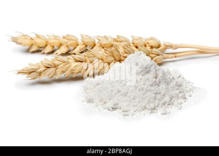 Tas de farine de blé blanc de près et épis de blé isolés sur fond blanc Banque D'Images