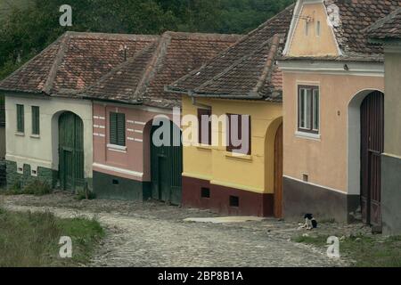 Maisons saxonnes voisines datant de plusieurs siècles dans un petit village du comté de Sibiu, en Roumanie. Banque D'Images