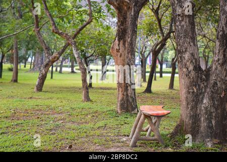 Banc sous l'arbre dans le parc Banque D'Images