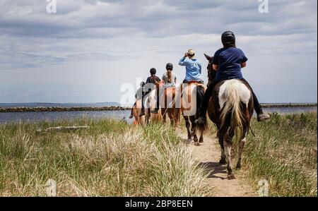 Belle journée pour une balade à cheval sur la plage avec des amis Banque D'Images