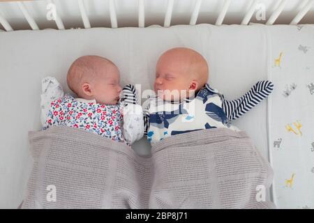 Trois semaines nouveau-né, des jumeaux mâles et femelles dormant dans un lit bébé né lors d'un confinement du coronavirus à Londres, en Angleterre. Photo © Sam Mellish Banque D'Images