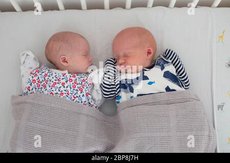 Trois semaines nouveau-né, des jumeaux mâles et femelles dormant dans un lit bébé né lors d'un confinement du coronavirus à Londres, en Angleterre. Photo © Sam Mellish Banque D'Images