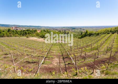 Paysage de collines de Valpolicella, la viticulture Italienne, Italie. Paysage rural Banque D'Images