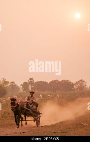 Voyager Homme, Pony et Cart dans la campagne au coucher du soleil. Île de la soie, Phnom Penh, Cambodge, Asie du Sud-est Banque D'Images