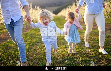 Famille avec deux petits enfants qui s'exécutent à l'extérieur dans le verger au printemps. Banque D'Images