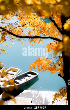 Goshiki-numa 5 couleurs étang en automne, Urabandai, Fukushima, Japon Banque D'Images