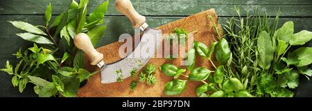 Couteau Mezzaluna sur une planche en bois avec des herbes culinaires aromatiques fraîches dans un panorama grand angle Banque D'Images