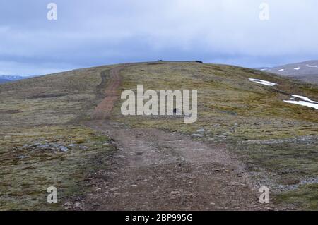 Piste/chemin vers le sommet de la montagne écossaise Corbett Carn an Fhreiceadain, Parc national de Cairngorms, Écosse, Royaume-Uni. Banque D'Images