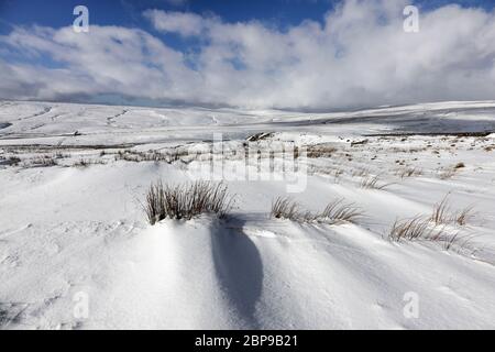 La vue vers une croix lointaine est tombée et les coquillages de Dun de Coldberry en hiver, Upper Teesdale, comté de Durham, Royaume-Uni Banque D'Images