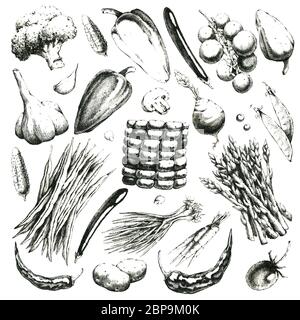 Ensemble de légumes dessinés à la main noir-blanc. JPEG uniquement. Banque D'Images