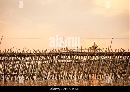 Un cycliste traverse un pont de bambou au-dessus du Mékong au coucher du soleil. Ko Pen, Cambodge, Asie du Sud-est Banque D'Images