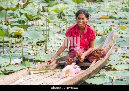 Femme cambodgienne sur un bateau fluvial récoltant des fleurs de lotus, Cambodge central, Asie du Sud-est Banque D'Images