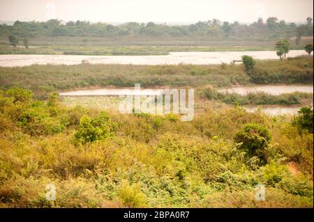 Une ferme de fleurs de lotus au bord du Mékong, dans un paysage rural. Cambodge central, Asie du Sud-est Banque D'Images