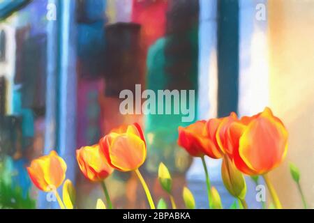 Gros plan. Superbes tulipes orange en fleurs. Arrière-plan coloré. Banque D'Images