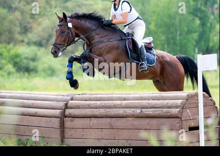 Evotant : un pilote équestre sautant un obstacle. Banque D'Images