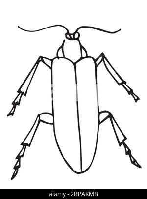 Vecteur de contour du scarabée, icône. Isolé sur fond blanc. Page de coloriage. Illustration de Vecteur