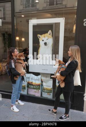 KLEP' S BOUTIQUE POUR CHIENS Banque D'Images