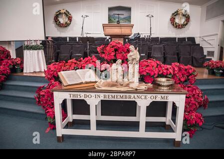 Des fleurs de poinsettia entourent un autel de l'église baptiste avec scène de Nativité à la saison de Noël. Banque D'Images