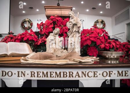 Des fleurs de poinsettia entourent un autel de l'église baptiste avec scène de Nativité à la saison de Noël. Banque D'Images