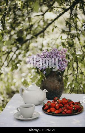 Tasse de thé, croissants et fraises fraîches servies avec des fleurs de lilas sur la table du jardin. Verticale. Banque D'Images