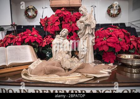 Des fleurs de poinsettia entourent un autel de l'église baptiste avec scène de Nativité à la saison de Noël. Banque D'Images