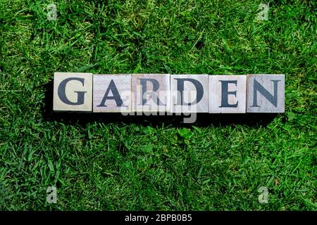 Jardin écrit sur des blocs de bois isolés sur fond vert gras Banque D'Images
