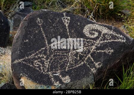 Art rupestre représentant le mouflon de Bighorn percé par des flèches, créé depuis longtemps par les habitants de Jornada Mogollon sur le site de Three Rivers Petroglyph dans le nord Banque D'Images