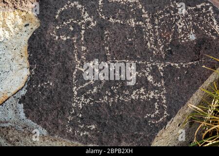 Art rupestre représentant de grands mammifères créés depuis longtemps par les habitants de Jornada Mogollon sur le site de Three Rivers Petroglyph dans le nord du désert de Chihuahuan, New Mex Banque D'Images