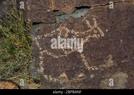 Art rupestre représentant de grands mammifères créés depuis longtemps par les habitants de Jornada Mogollon sur le site de Three Rivers Petroglyph dans le nord du désert de Chihuahuan, New Mex Banque D'Images