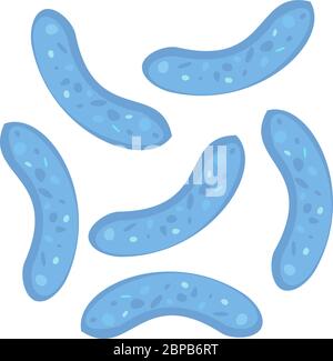 Bifidobacterium, symbole Lactobacillus bifidus. Peut être utilisé pour la bannière en toile de yaourt. Médecine, microbiologie, fermentation concept. Vecteur de brut Illustration de Vecteur