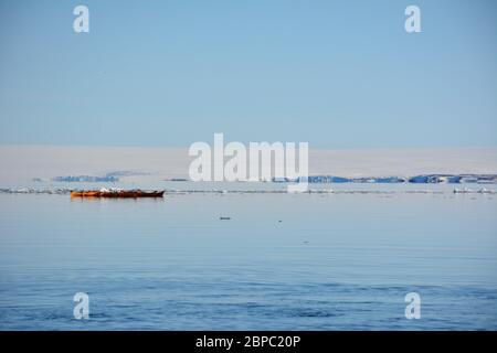 Kayaks sur un miroir calme jour près d'Alkefjellet dans le détroit de Hinlopen à Svalbard. Banque D'Images