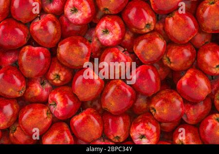 Arrière-plan de pommes rouges, vue du dessus. Rendu 3D Banque D'Images