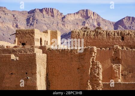 Le village traditionnel de Tamnougalt construit en boue dans une oasis couverte de palmiers dans la vallée du Draa au sud du Maroc Banque D'Images