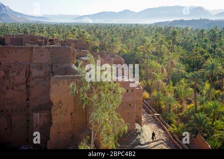 Le village traditionnel de Tamnougalt construit en boue dans une oasis couverte de palmiers dans la vallée du Draa au sud du Maroc Banque D'Images