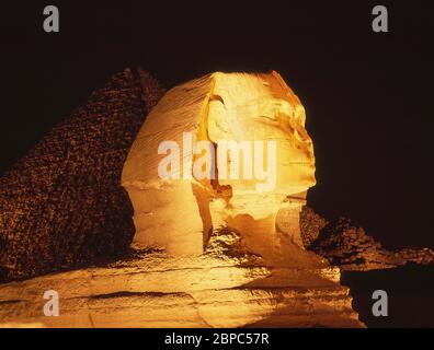 Le Grand Sphinx de Gizeh la nuit (son-et-lumiere), Gizeh, Govergate de Gizeh, République d'Égypte Banque D'Images