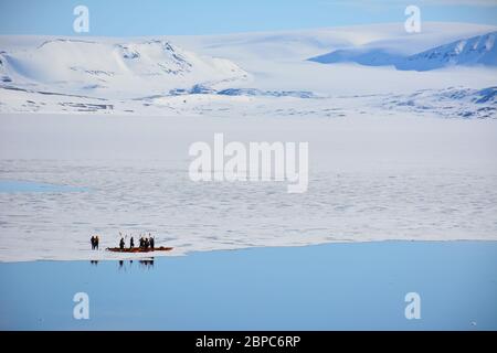 Les touristes qui font une croisière d'expédition participent à une excursion en kayak dans une baie abritée de Svalbard, dans l'Arctique norvégien, en été. Banque D'Images