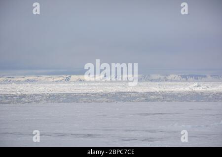 Vue imprenable sur la glace de mer flottante lors d'une journée d'été calme à Svalbard, avec le ciel pastel reflété dans la surface de l'eau. Banque D'Images