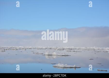 Vue imprenable sur la glace de mer flottante lors d'une journée d'été calme à Svalbard, avec le ciel pastel reflété dans la surface de l'eau. Banque D'Images