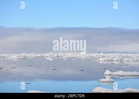 Vue imprenable sur la glace de mer flottante lors d'une journée d'été calme à Svalbard, avec le ciel pastel reflété dans la surface de l'eau. Banque D'Images