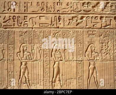 Hiéroglyphes sur le mur dans le Temple d'Horus, Edfu, gouvernorat d'Assouan, Égypte Banque D'Images