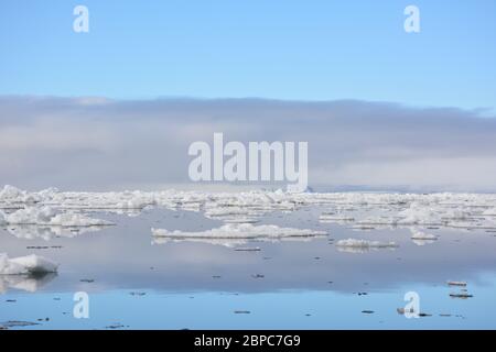 Vue imprenable sur la glace de mer flottante lors d'une journée d'été calme à Svalbard, avec le ciel pastel reflété dans la surface de l'eau. Banque D'Images