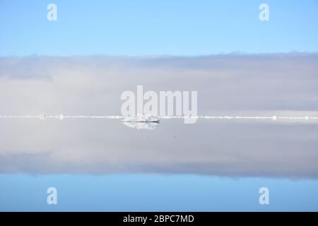 Vue imprenable sur la glace de mer flottante lors d'une journée d'été calme à Svalbard, avec le ciel pastel reflété dans la surface de l'eau. Banque D'Images