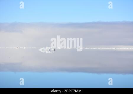 Vue imprenable sur la glace de mer flottante lors d'une journée d'été calme à Svalbard, avec le ciel pastel reflété dans la surface de l'eau. Banque D'Images