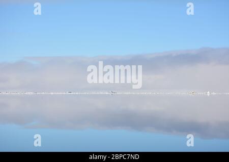 Vue imprenable sur la glace de mer flottante lors d'une journée d'été calme à Svalbard, avec le ciel pastel reflété dans la surface de l'eau. Banque D'Images