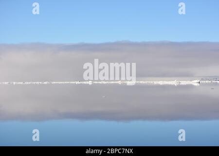 Vue imprenable sur la glace de mer flottante lors d'une journée d'été calme à Svalbard, avec le ciel pastel reflété dans la surface de l'eau. Banque D'Images