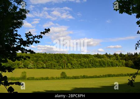 Andrews Wood Dry Valley près de Shoreham, Kent. North Downs craie Hills, mai Banque D'Images