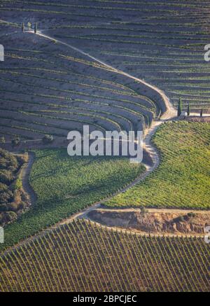 Vignobles Douro depuis la vue aérienne Banque D'Images