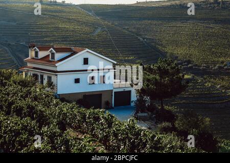 Vignobles Douro depuis la vue aérienne Banque D'Images