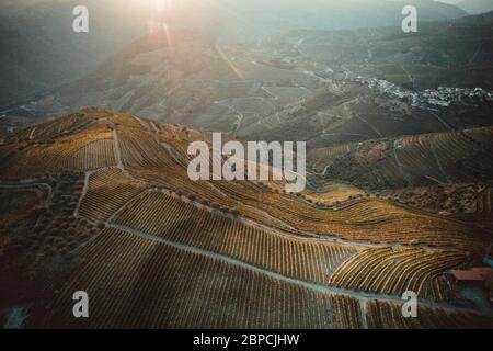 Vignobles Douro depuis la vue aérienne Banque D'Images